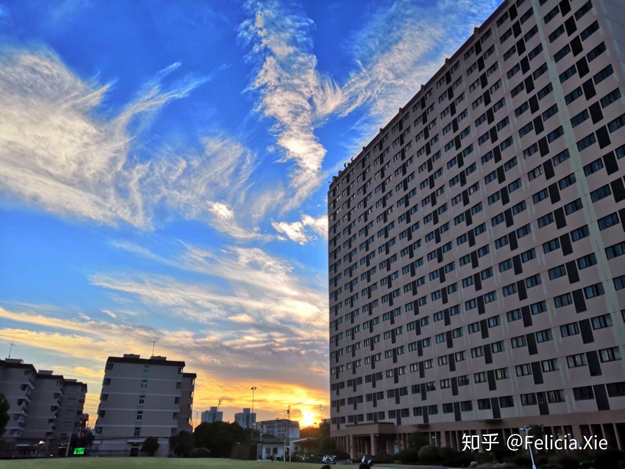 上海財經大學的宿舍和校園環境都怎麼樣