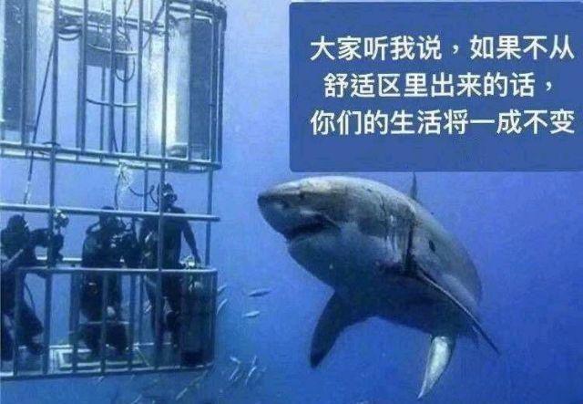 搞笑趣图meme梗图吐槽段子大全 - 知乎