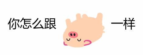 降临QQ水群的“猪鼻表情包”，快要把二次元都拱翻了 - 知乎