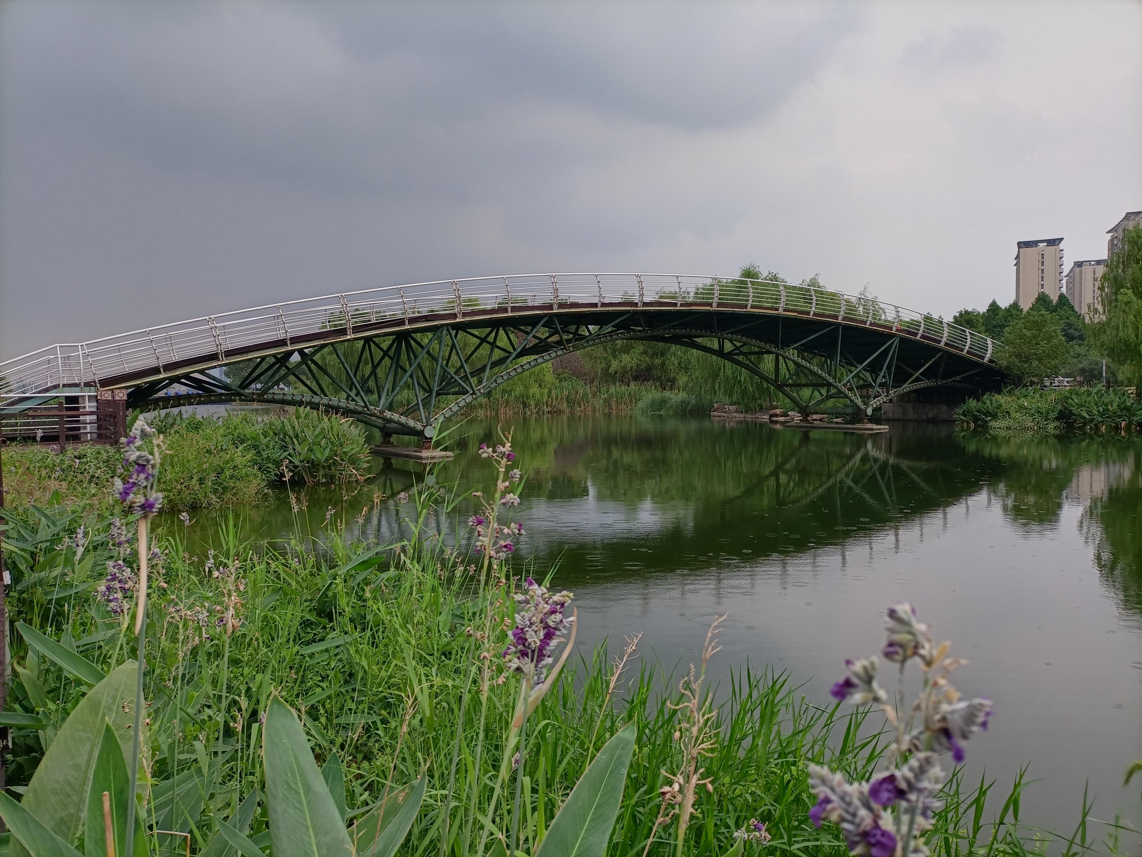 独墅湖生态公园,闹市中的一块桃源