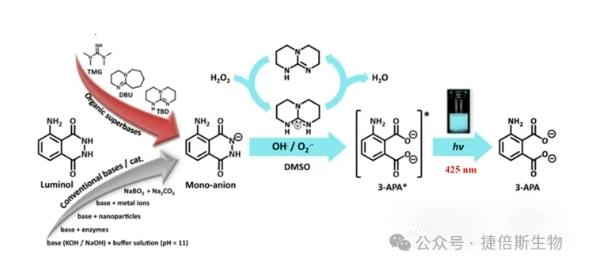 3种常用化学发光法简介 - 知乎