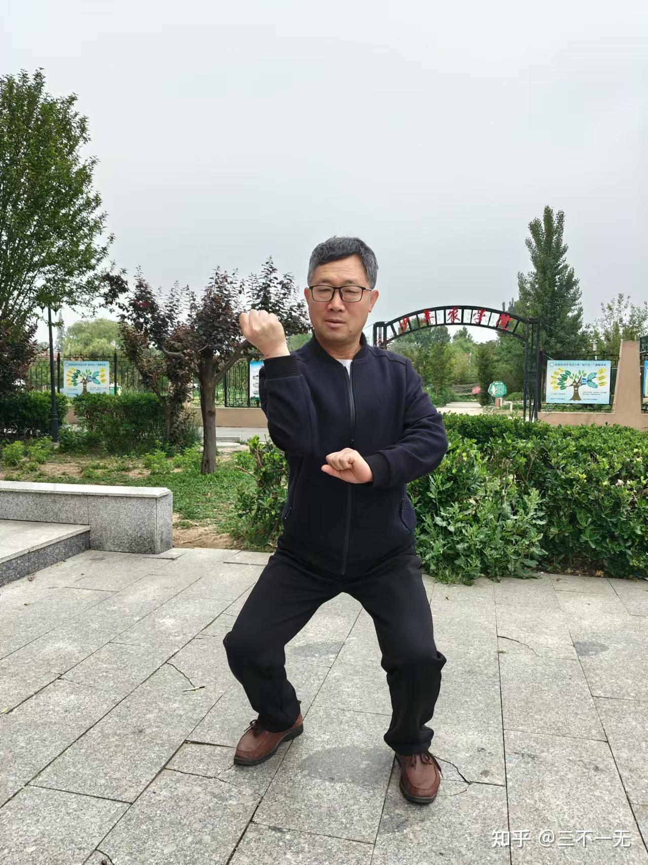 搂膝拗步与庇身捶的区别与 - 知乎