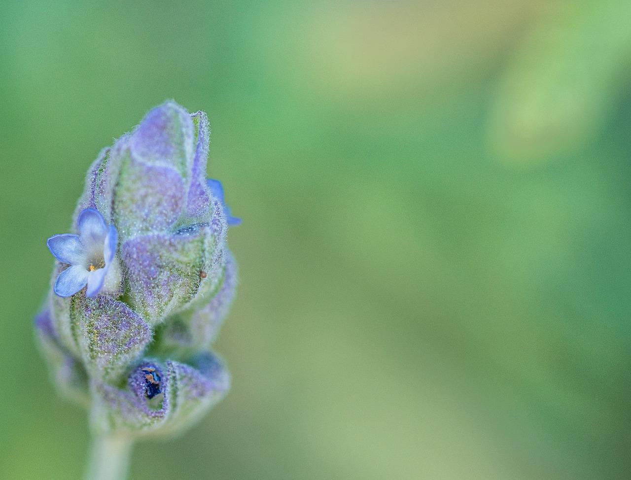 依兰亿达新房售价
