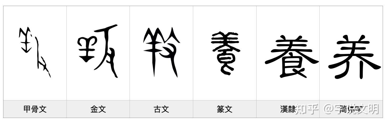 养——每日一字·羊部字 - 知乎