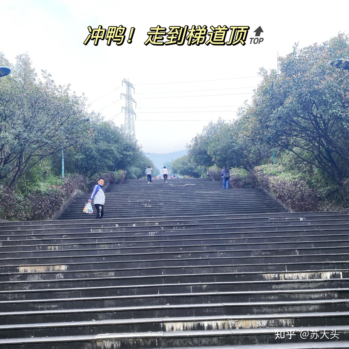 重庆徒步爬山圣地：缙云山免门票上山详细路线指引 - 知乎