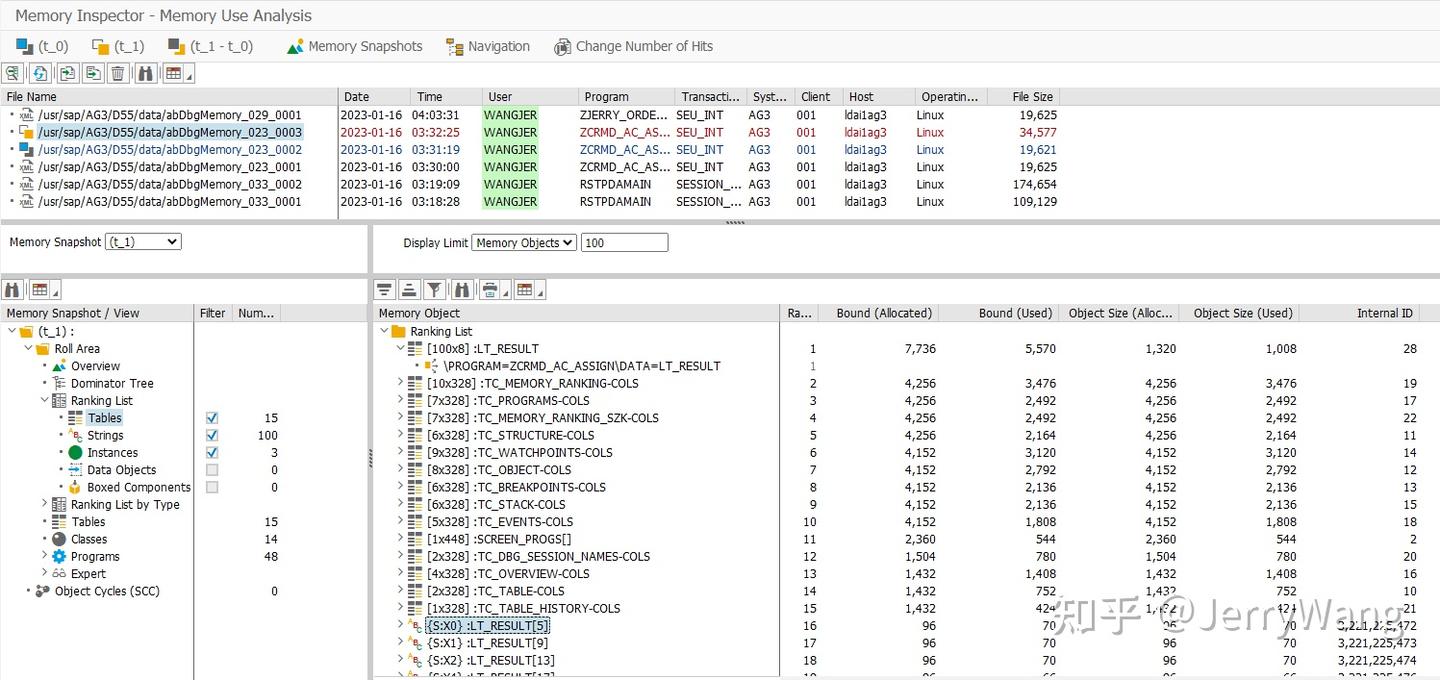 ABAP Memory Inspector 里对动态内存对象的内存消耗度量方式 - 知乎