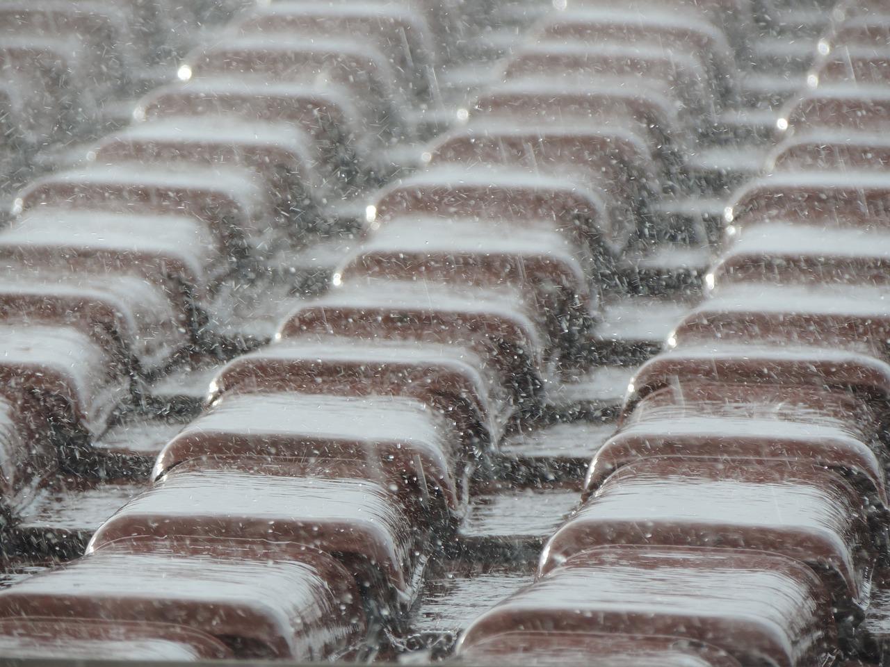秋雨萧瑟染金黄