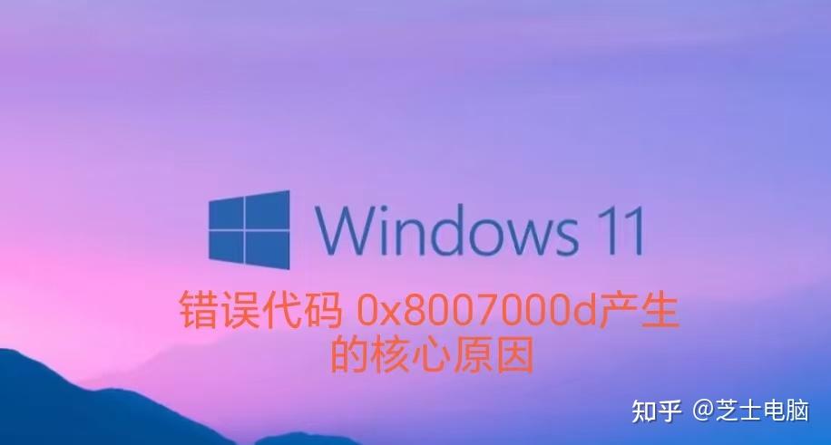 糟糕!电脑错误代码: 0x8007000d,小编5分钟教你如何解决