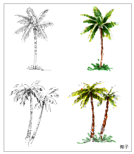 如何用马克笔画好一棵树