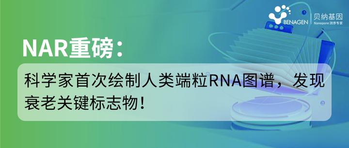NAR重磅:科学家首次绘制人类端粒RNA图谱,发现衰老关键标志物! - 知乎