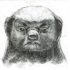 Zhihu profile picture for @decontamination