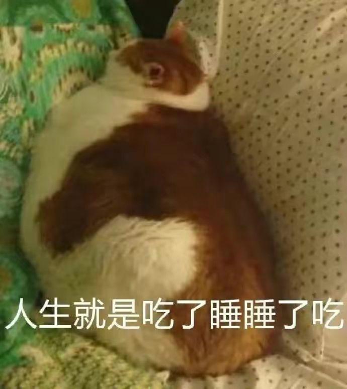 有没有搞怪一点的起床表情包啊?