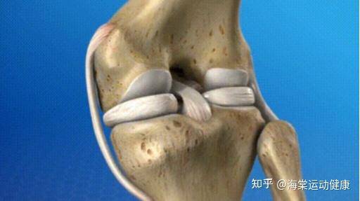 韧带损伤的成因与恢复:科学方法助您重返健康 - 知乎