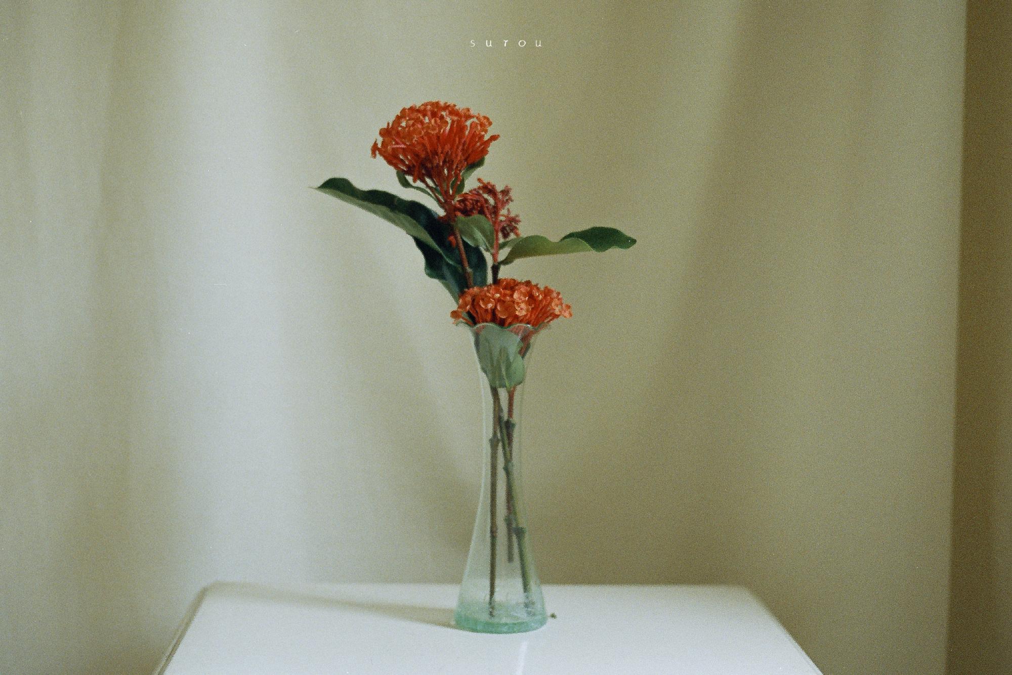 有哪些好看的高清北欧风电脑壁纸