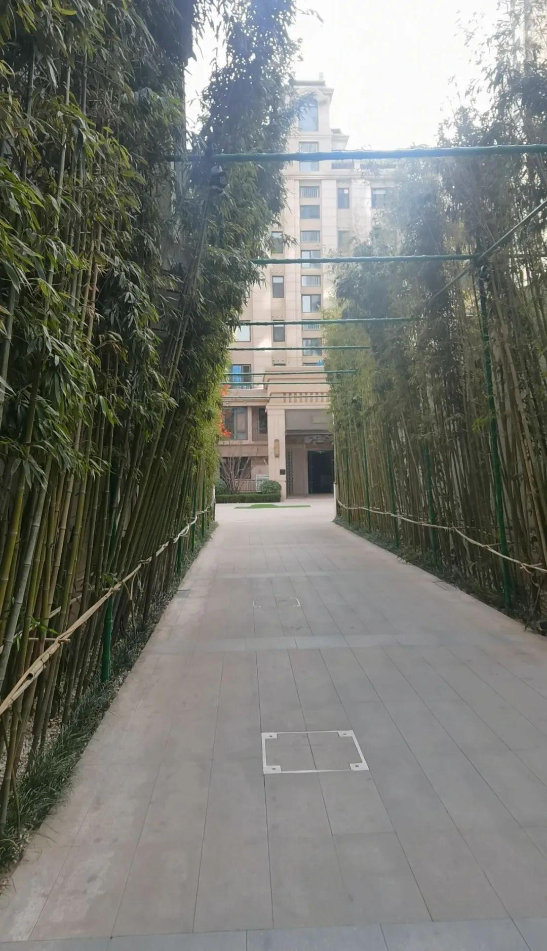 实探石家庄最贵学区房:帝王国际 - 知乎