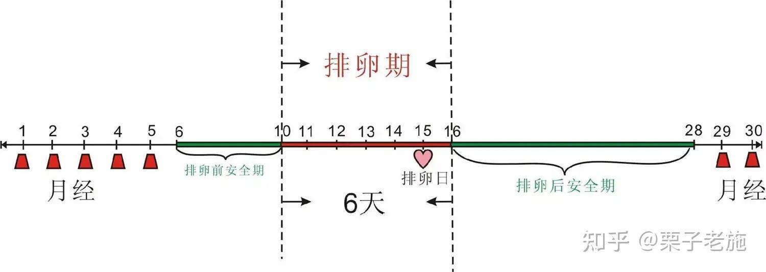 《排卵期受孕计划》详细解读