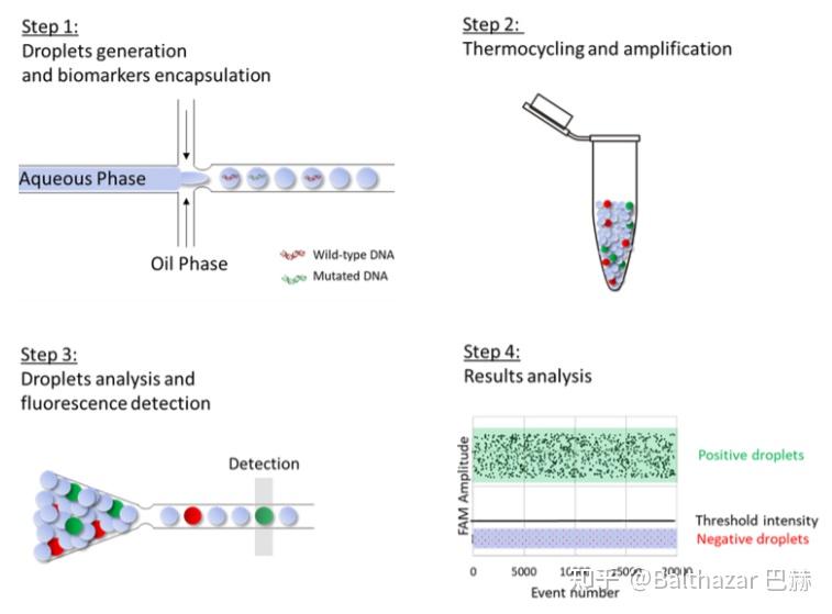 Emulseo微流控液滴数字ddpcr助力早期癌症检测 - 知乎