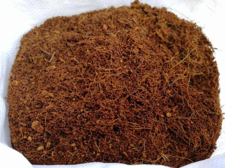 进口栽培介质椰糠泥炭土清关的手续有哪些