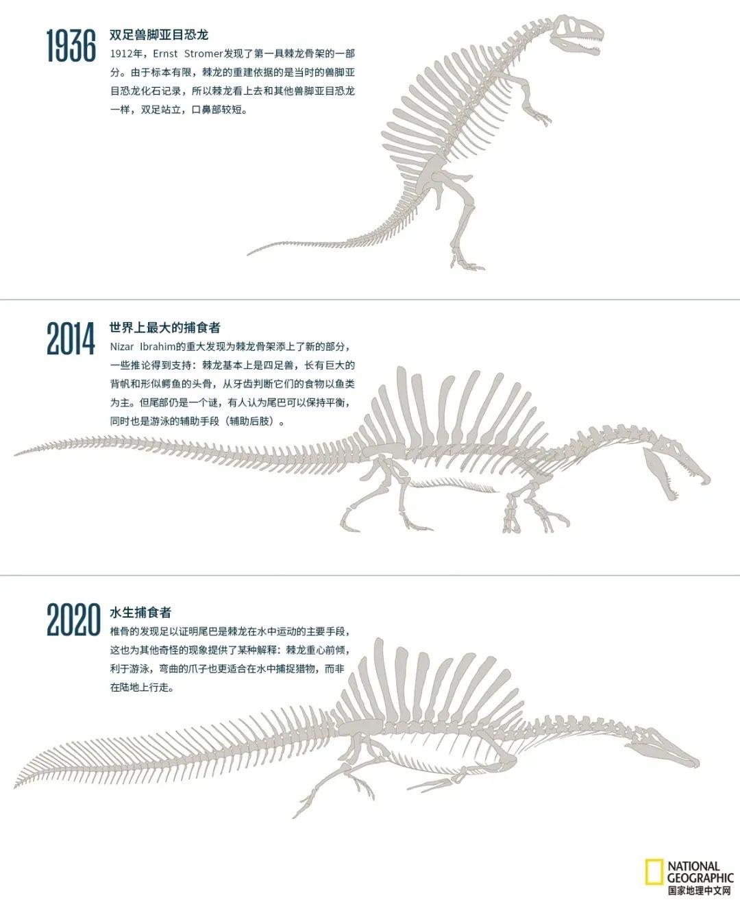 侏罗纪公园3里面的那条棘龙怎么了? - 知乎
