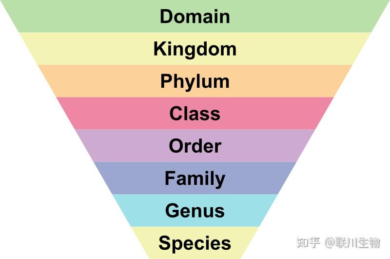 为什么说菌群鉴定到”种”很重要 - 知乎
