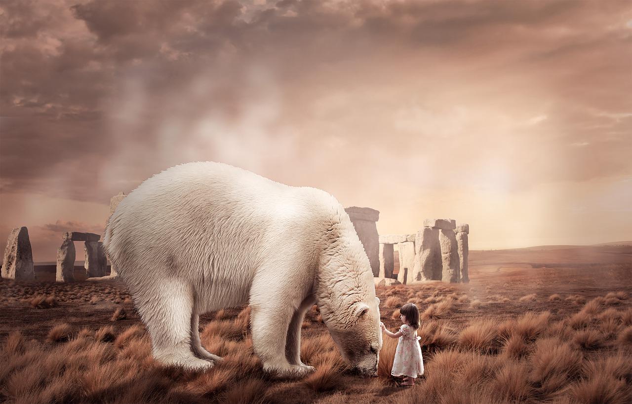 学科教学计划安排