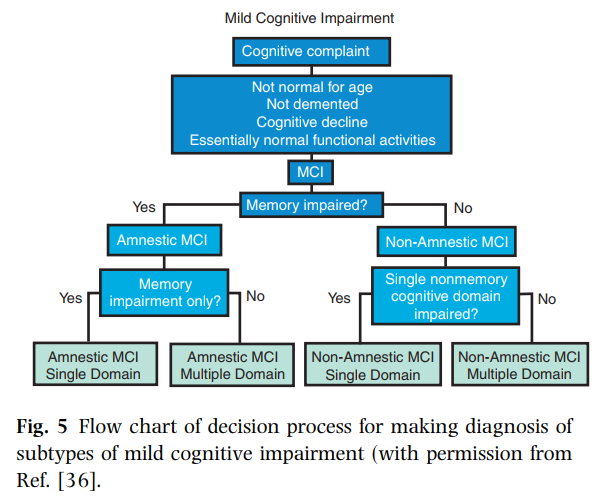 MCI Diagnosis By Petersen MCI Diagnosis By Petersen