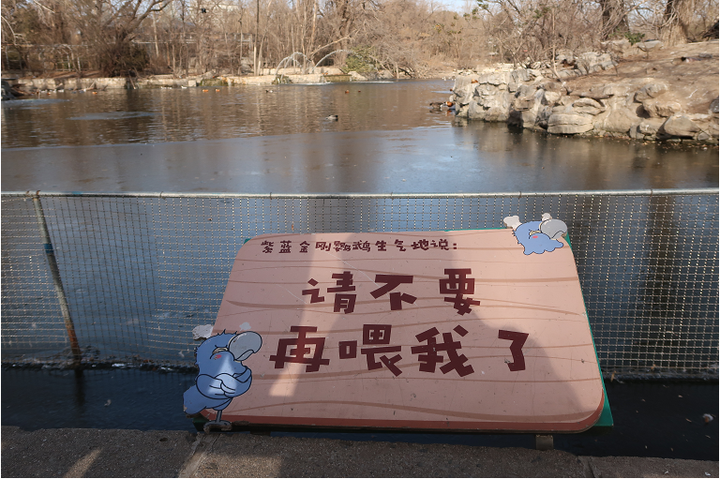 " | 西藏那曲发布公告:禁止投喂野生动物