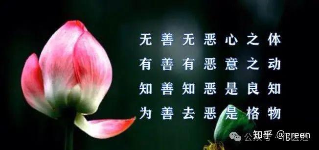 善恶之辨善独尊 上善若水医者心 - 知乎