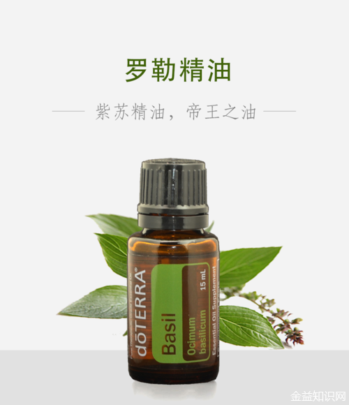 罗勒精油的功效与作用 - 知乎
