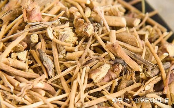 白薇的功效与作用是什么? - 知乎