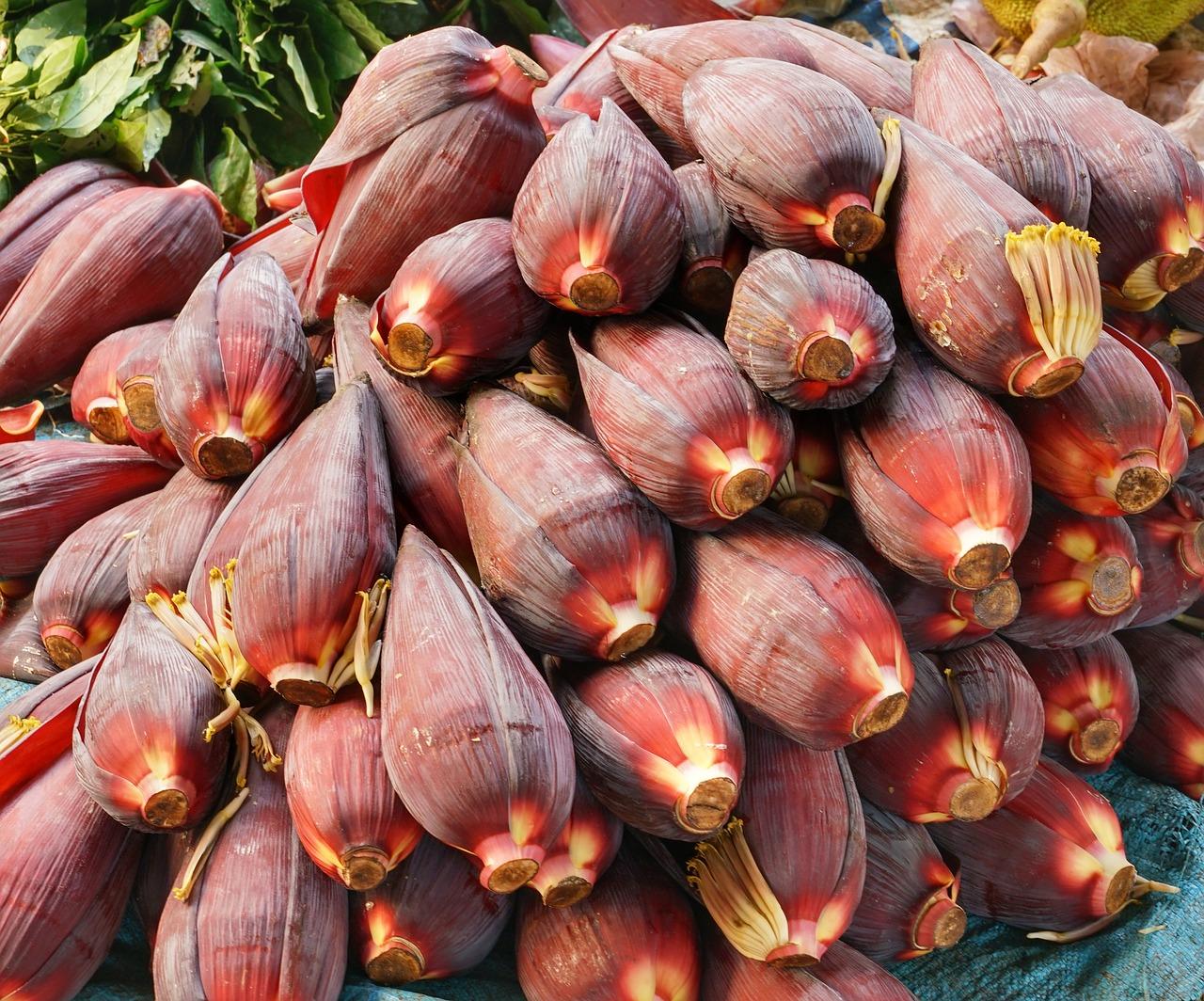 火龙果价格多少钱一个