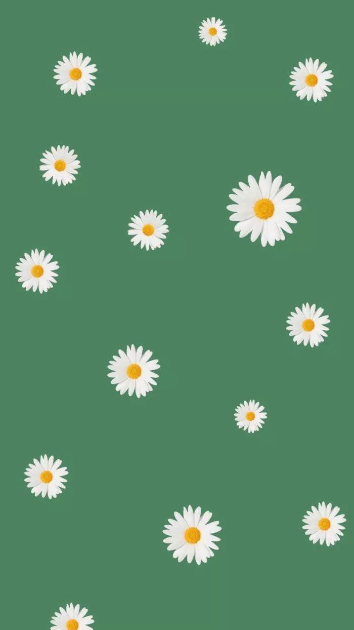 有什么保护眼睛的手机壁纸求推荐