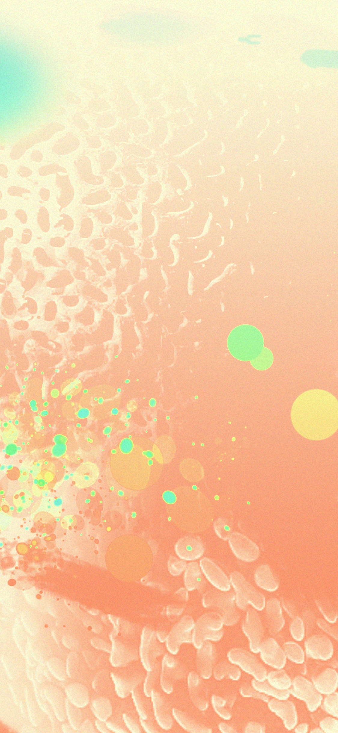 有哪些好看的iphone实况壁纸呀