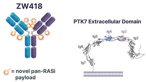 AACR 2026回顾| pan-RASi ADC 研发格局与临床前突破 - 知乎