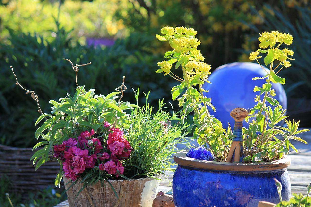 5. 社区环境评价