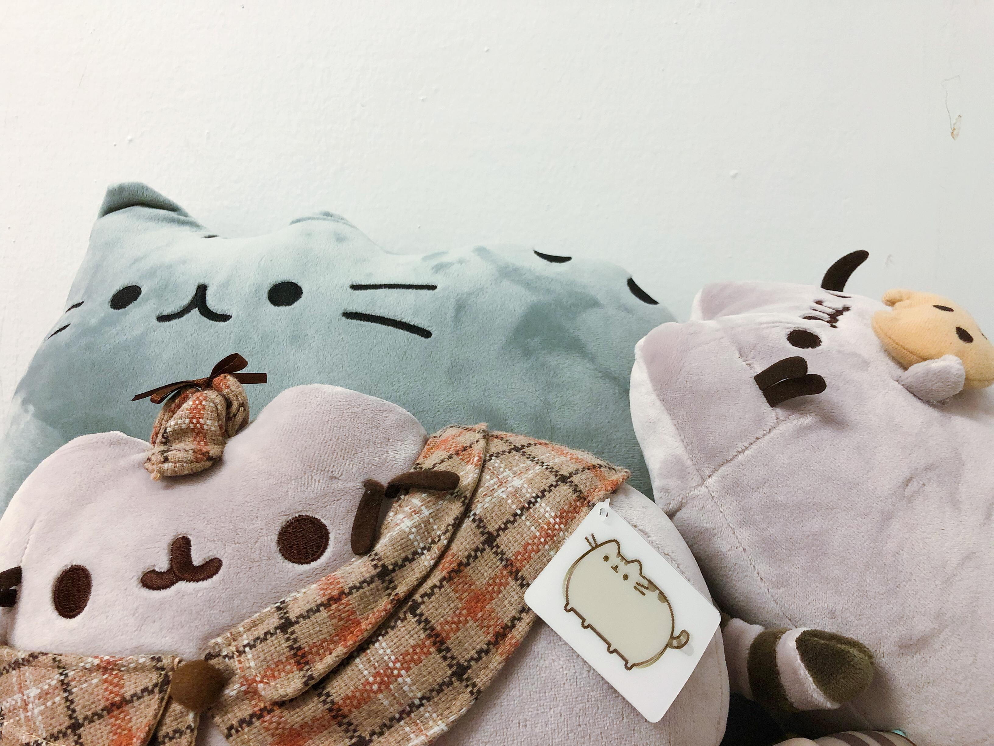 喜欢pusheen(胖吉猫)是怎样一种体验? - 知乎