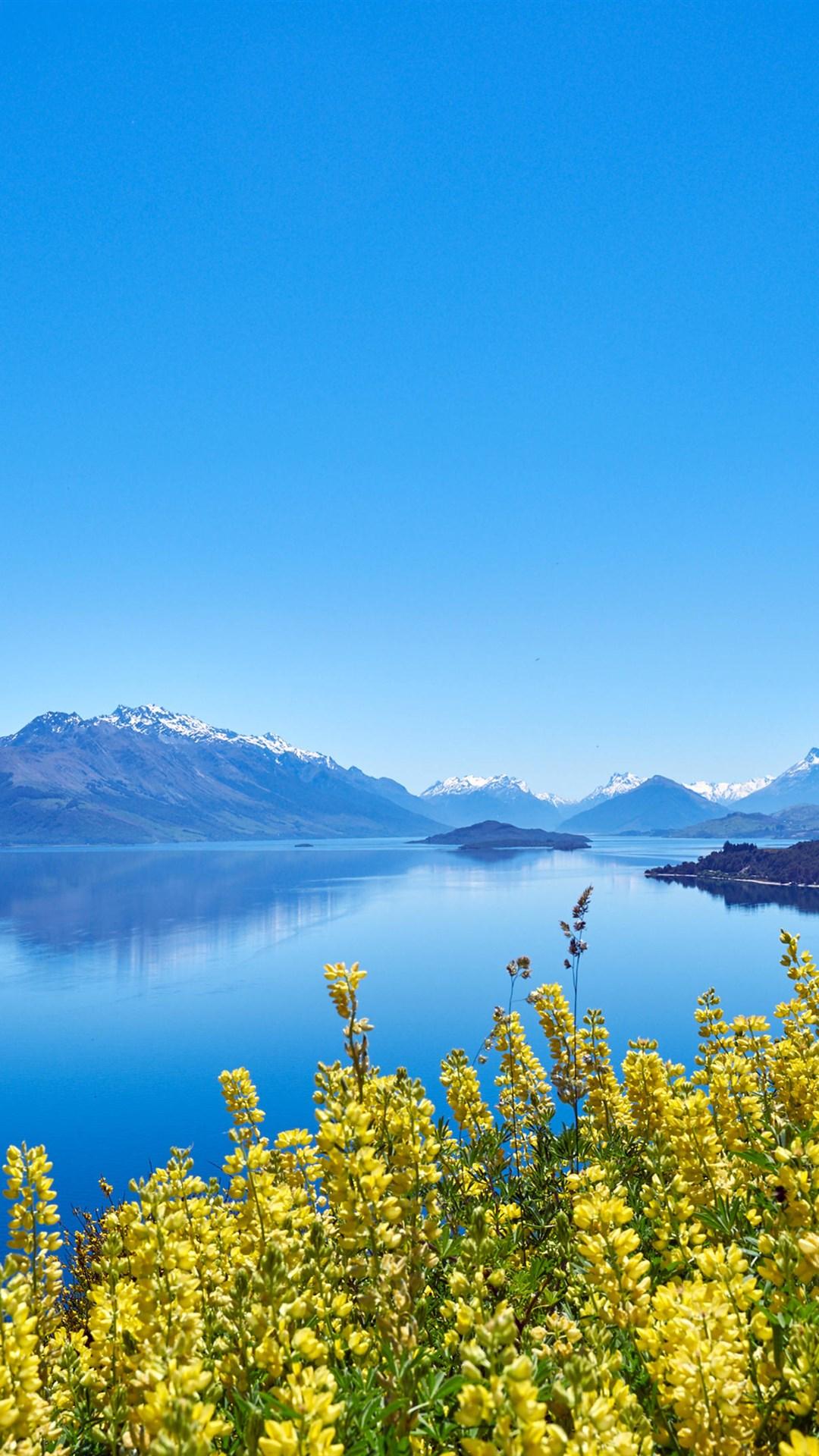 有哪些清凉如水的画作?