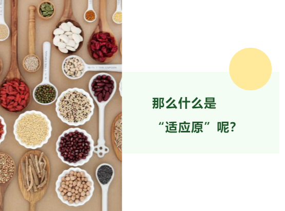 新时代的“适应原”补剂应用及新见解 - 知乎