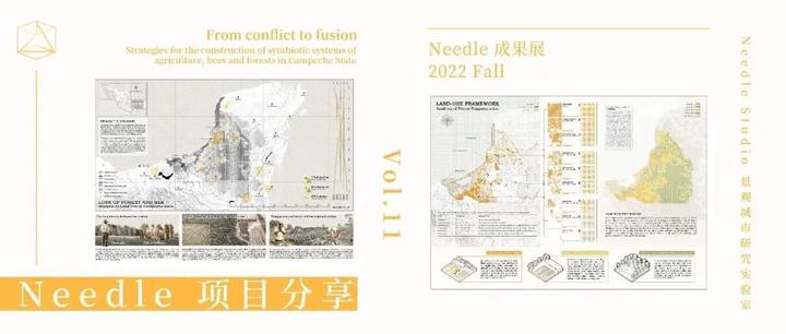【2022年IFLA竞赛获奖项目 | Needle作品集成果】从冲突到和谐——坎佩切州农业、蜜蜂与森林共生系统的构建策略 - 知乎