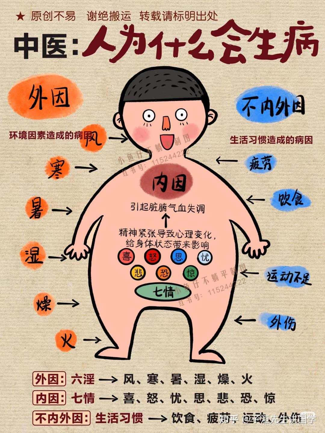 五行与身体健康(建议收藏) - 知乎