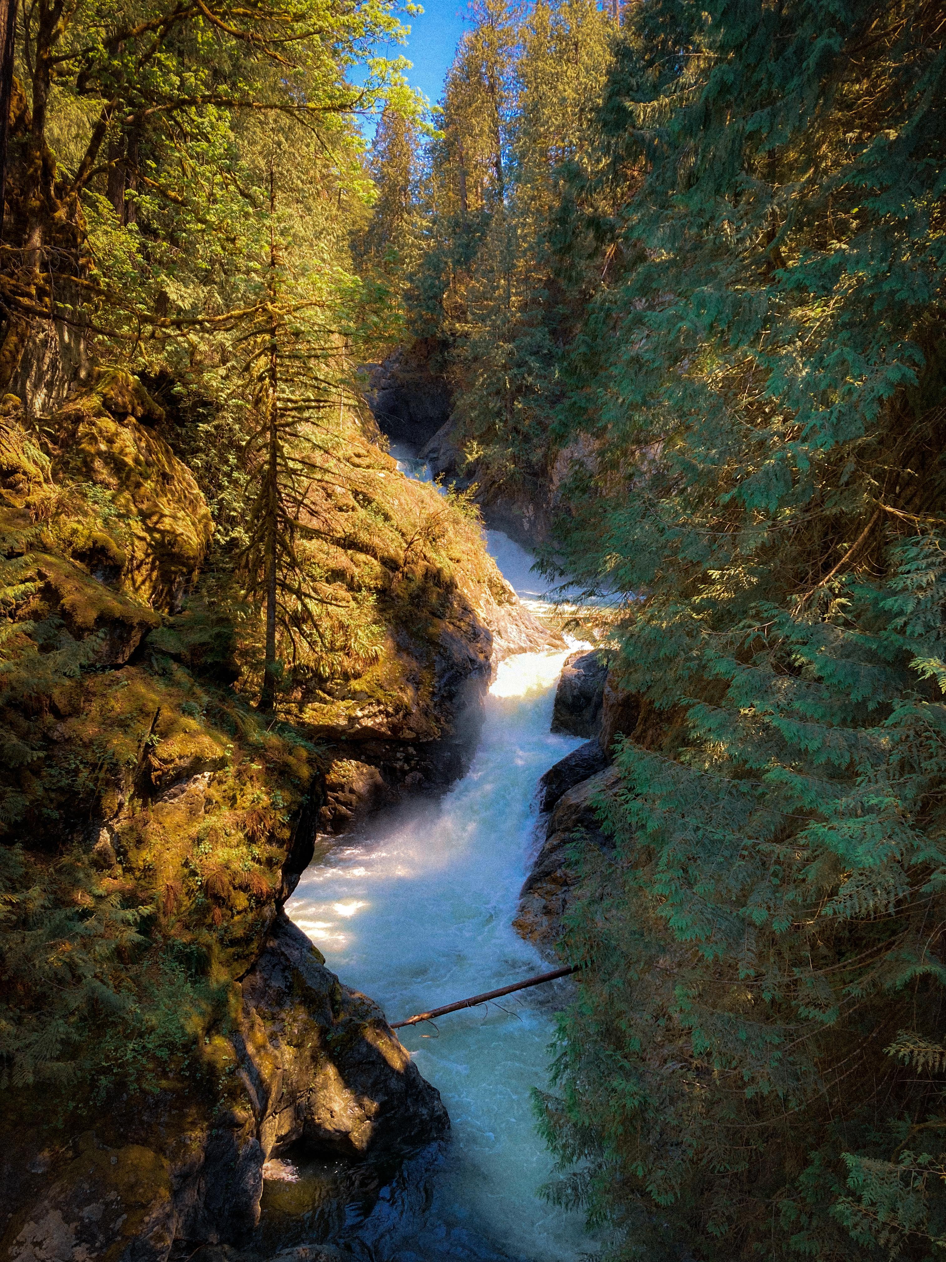 请问新出的iphone se2的拍照画质怎样?