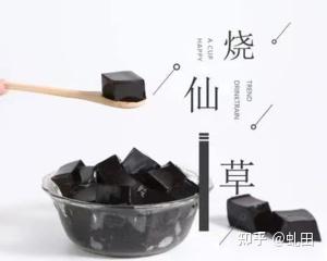 夏日仙草冻 - 知乎