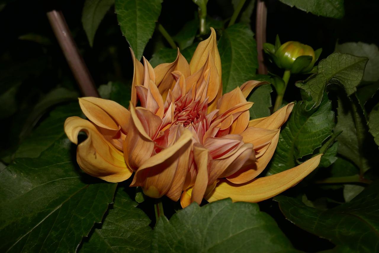 邹城大华小区在哪里