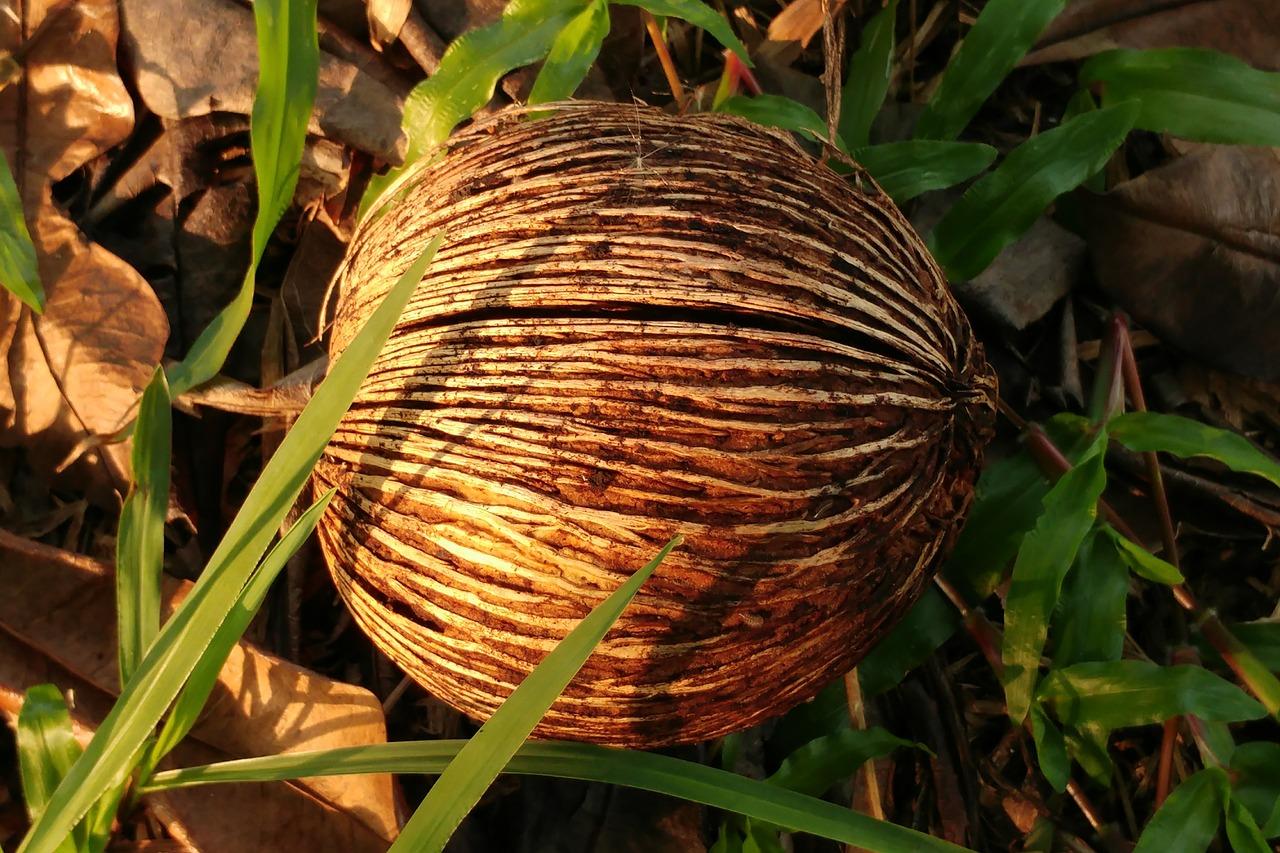 4. 竹炭零售价查询