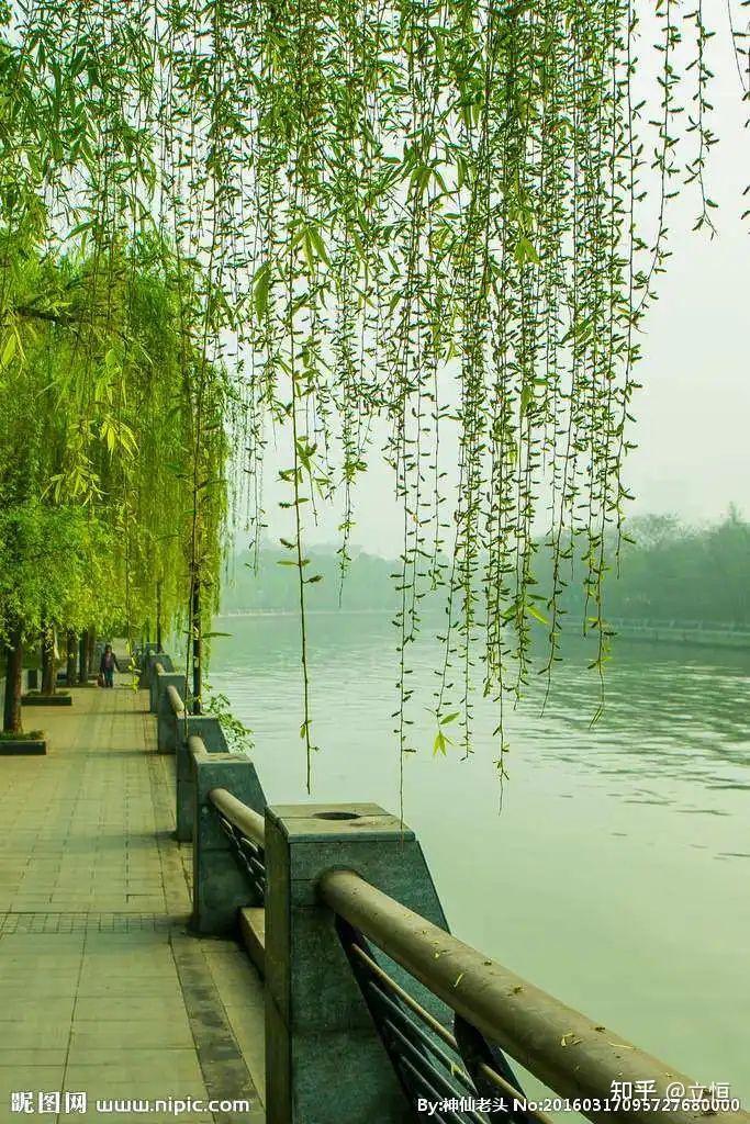 文笔挑战:"三里清风三里路,__________"你会怎么接下一句?