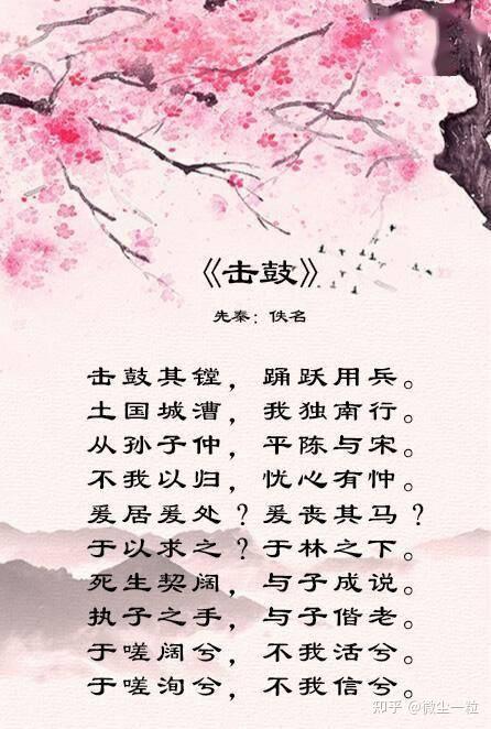 美文欣赏：《执子之手，与子偕老》安意如 - 知乎
