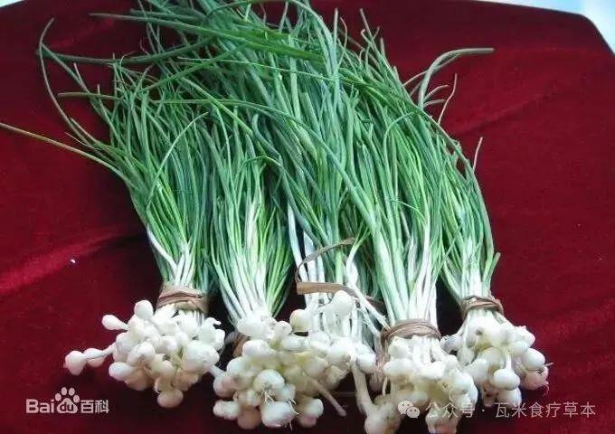 春日补阳不可不知的草本:通阳行气的野葱 - 知乎