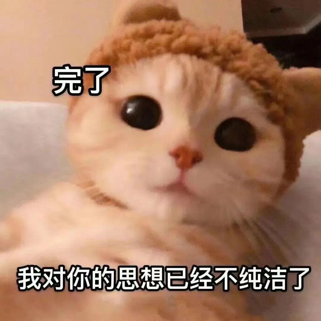 你客气了表情包 - 知乎