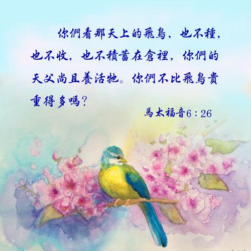 78是什么iamthey美国乐队歌曲从那天起在全球已有上千万次播放量用