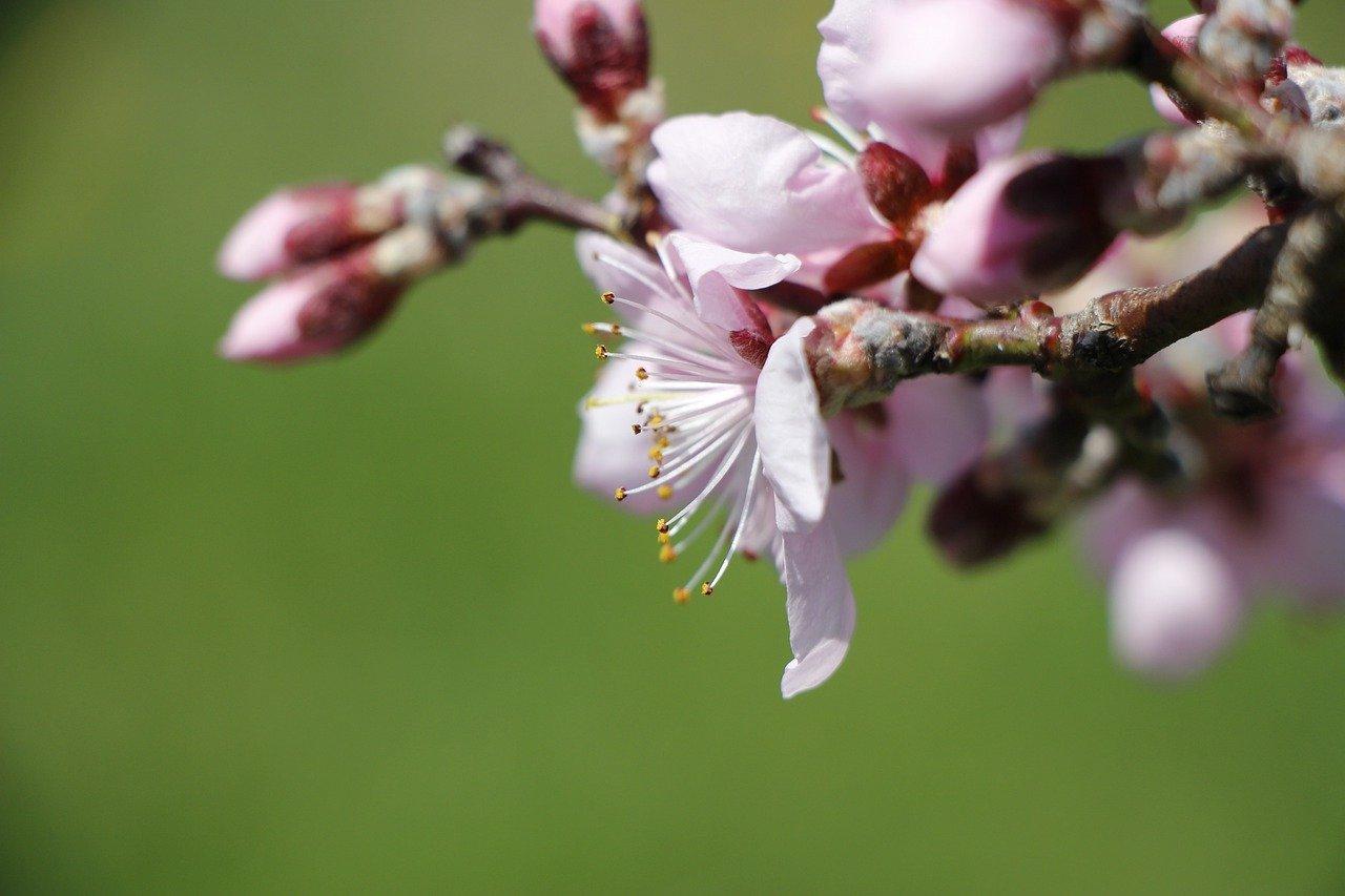 2. 房价走势分析